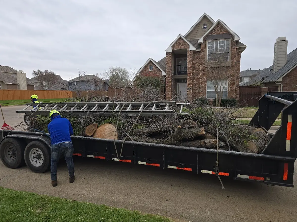 Expert Tree Removal with proper safety equipment in Van Dyne
